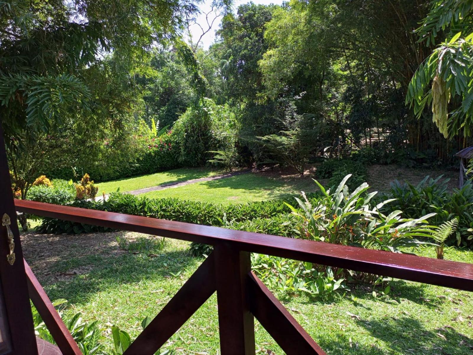 Terra Luna Lodge Tena Esterno foto