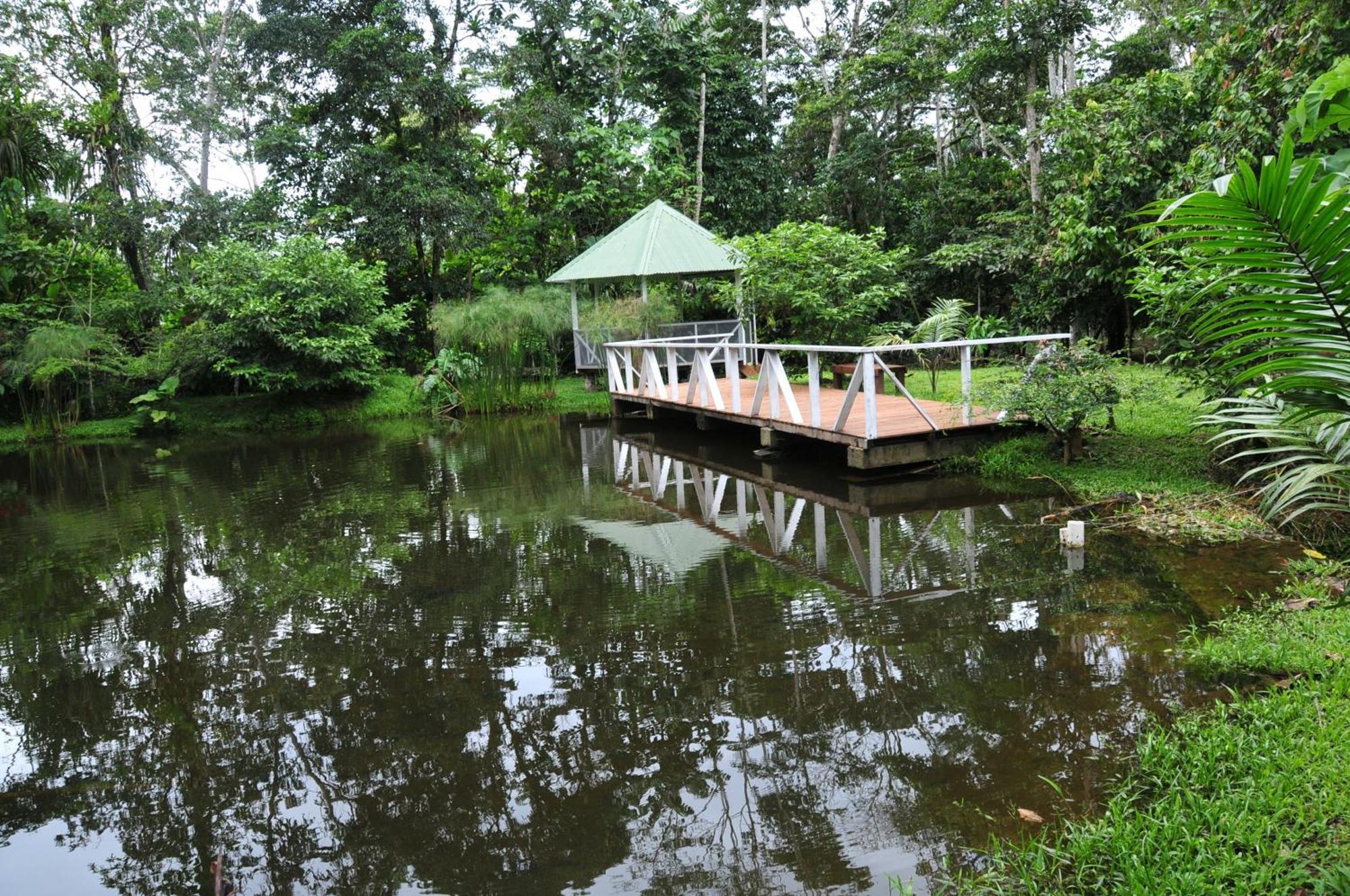 Terra Luna Lodge Tena Esterno foto