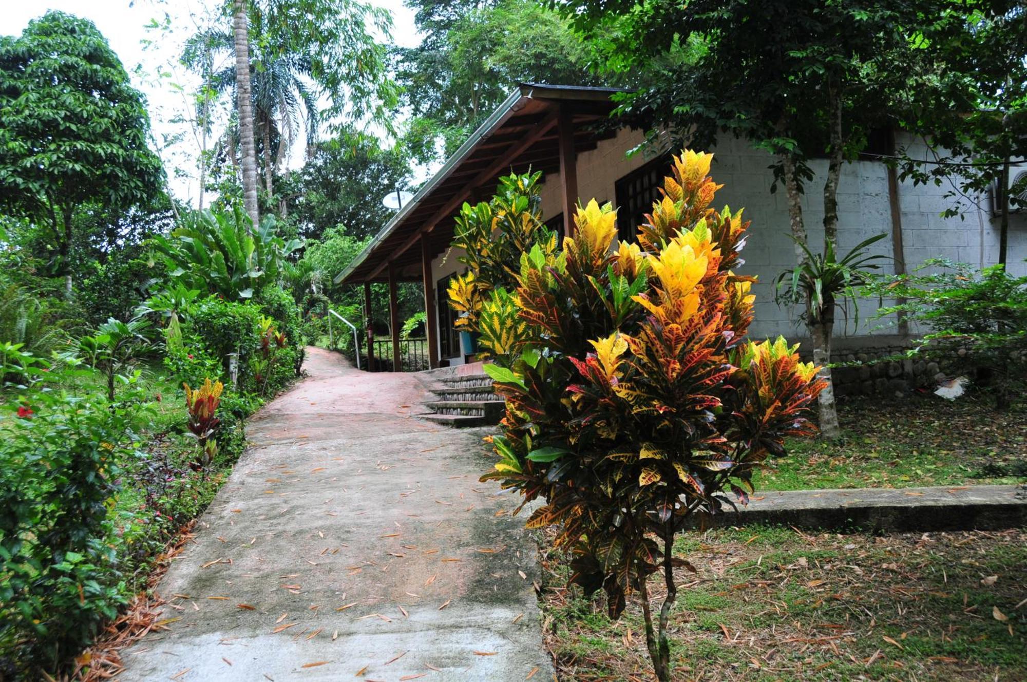 Terra Luna Lodge Tena Esterno foto